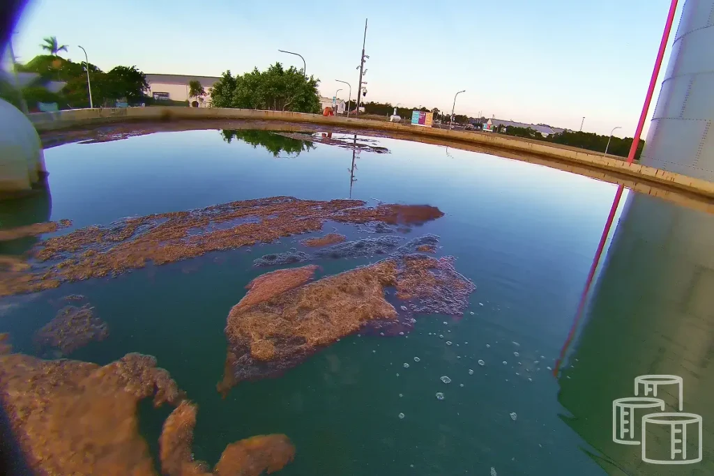 water tank maintenance mistakes