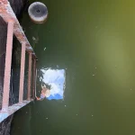 Water Quality and Tank Materials